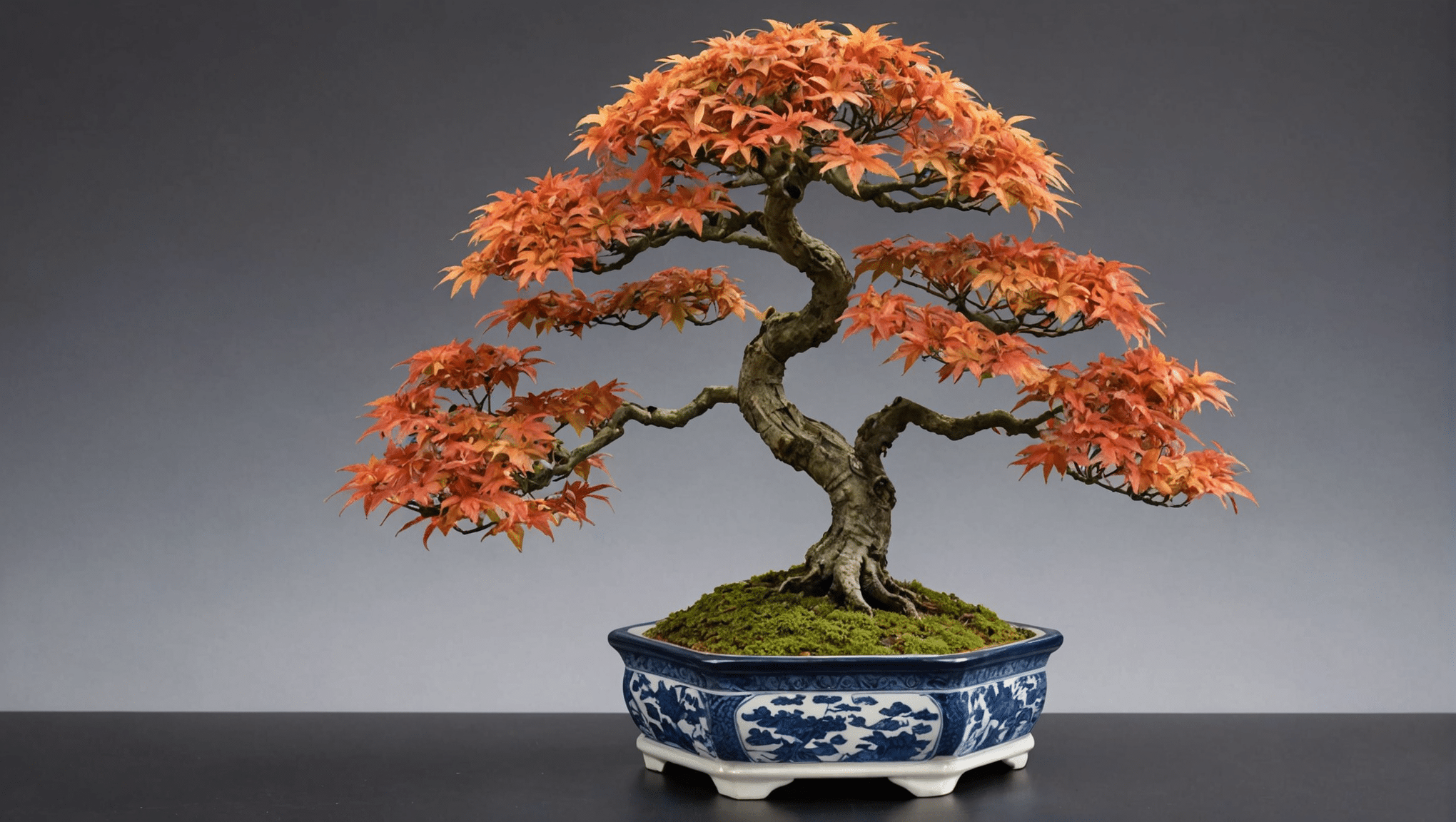 Erfahren Sie alles, was Sie über die Pflege Ihres japanischen Ahornbonsai wissen müssen. Lernen Sie die besten Bewässerungs- und Schnitttechniken kennen und lassen Sie sich zu den Preisen für die Auswahl Ihrer Pflanze beraten.