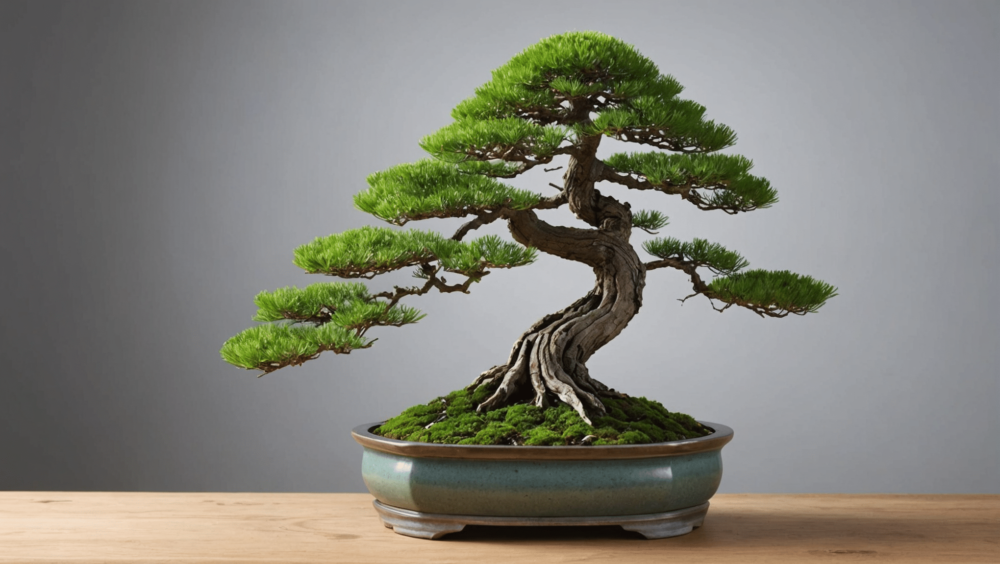 ontdek alle geheimen voor het onderhoud van uw lariksbonsai: advies over water geven, snoeien, prijzen en beste praktijken om de gezondheid en schoonheid ervan te garanderen. Leer hoe u deze unieke miniatuurboom kunt laten groeien met onze uitgebreide gids.